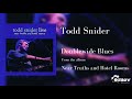 Todd Snider - Doublewide Blues (Live)