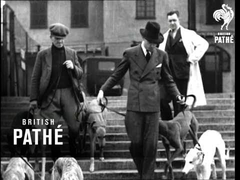 The Stars "Off-Stage" No. 1 - Roy Fox (1934)