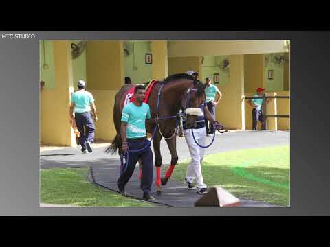 Photo Gallery - 29th Meeting 2018 Season