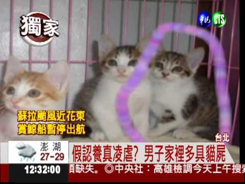 變裝認養貓咪 男子虐貓法辦