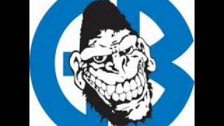 Gorilla Biscuits- high hopes (w/lyrics)