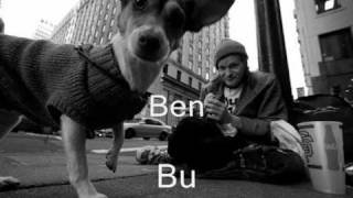 Haluk Levent - Alışamadım