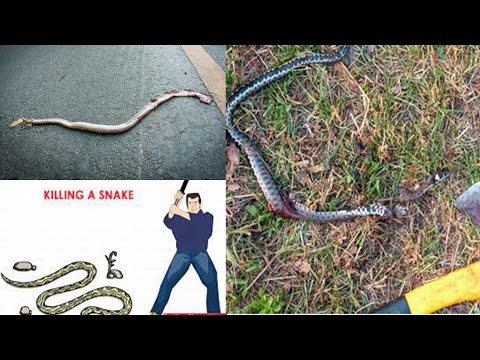 VICTORY DREAM (twi language)