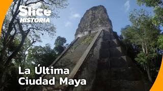 Secretos de Naachtun : La Ciudad que Desafió el Colapso Maya l SLICE HISTORIA | DOCUMENTAL COMPLETO
