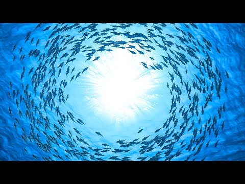 Fall Asleep in Under 5 MINUTES ~ Eliminate Subconscious Negativity ~ Remove Mental Blockages :)