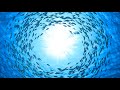 Fall Asleep in Under 5 MINUTES ~ Eliminate Subconscious Negativity ~ Remove Mental Blockages :)