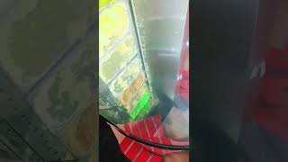 ice cream flavours #alpine