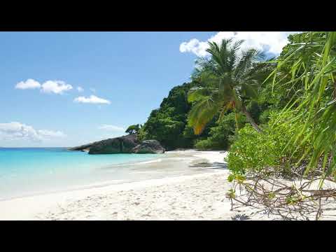 Relaxing Ocean Waves 1080p -20minute  -- Tropical Beach Nature Video for Sleeping