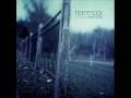 Hammock - Winter Light