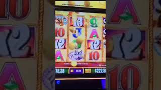 Big win at the carnival venezia casino
