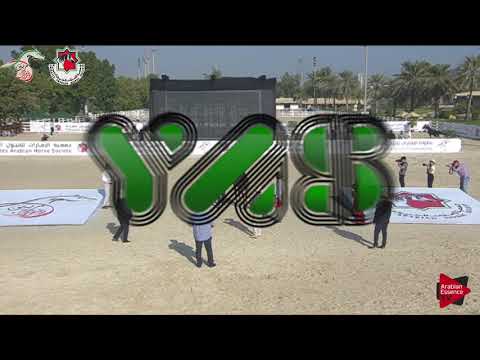 N 274 D MEZYAN   Emirates AHBC