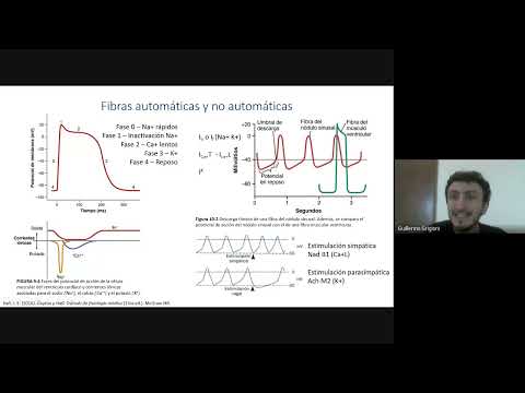 Clase de Repaso TYTL   Electrocardiograma   Prof Guillermo Grigioni