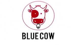 Blue Cow Studios: Promo Video