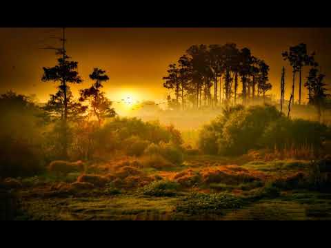 Healing the self with the first 3 minutes of Beethoven Symphony Number 7, Movement II