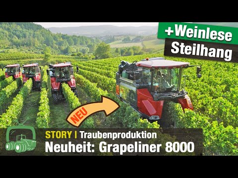 Ein Jahr auf dem Weingut Franz | Neuheit: ERO Grapeliner 8000 Traubenvollernter | Fendt 200 Vario