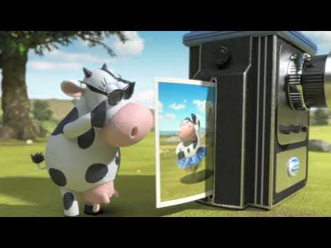 Vinamilk - 35 Anniversary