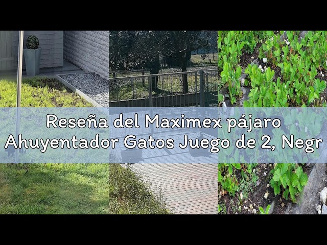 Vídeo relacionado con Maximex pájaro Ahuyentador Gatos Juego de 2, Negro, 1.6 x 37 x 29 cm, 71964900