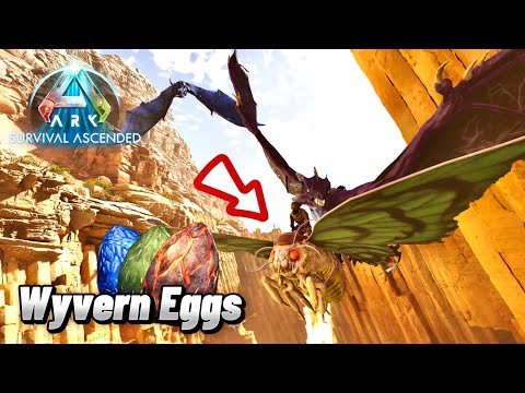 How To Get Wyvern Eggs EASILY Ark Survival Ascended Scorched Earth Lymantria!