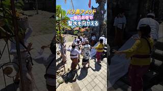 #バリ島 #アメッド まだまだ続く #お葬式 他の #お寺 から #聖水 を向かい入れる #儀式 #ヒンドゥー教 #バリ島生活 #amed #bali #shorts