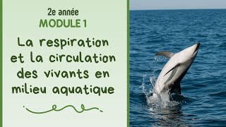 La circulation des substances chez les vivants en milieu aquatique