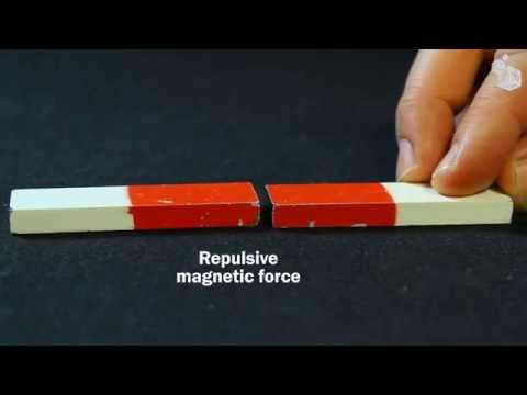 Video Lab: Magnetic forces