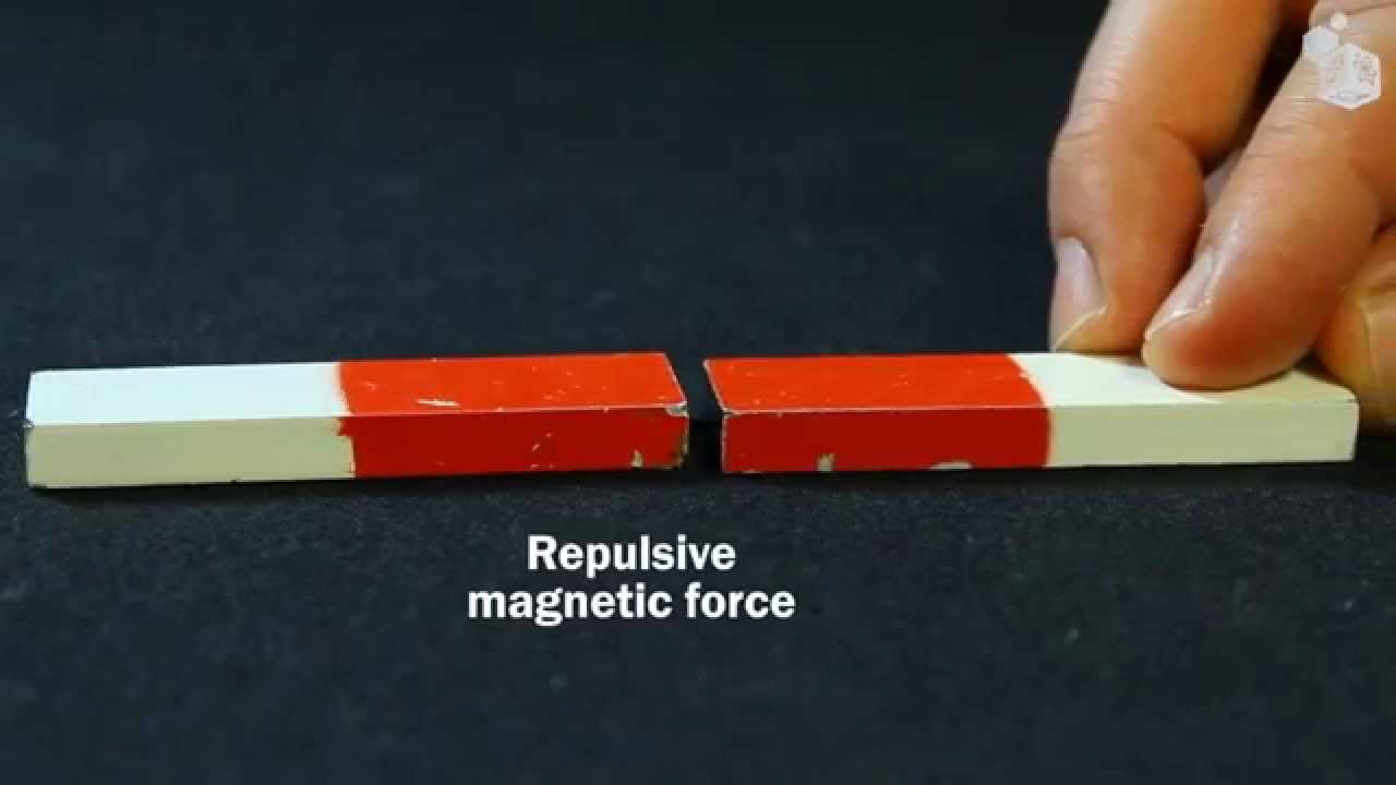 Video Lab: Magnetic forces