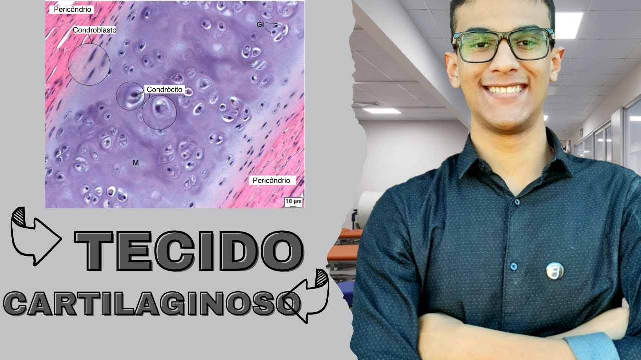 Tecido Cartilaginoso - Junqueira & Carneiro (Histologia)