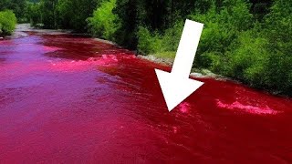 Strange Events: River Turned Blood Red ⛔