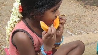 papaya picking and eating in my village Amazon forest_ village cooking with friends...