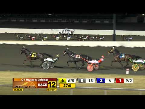 Meadowlands November 29, 2014 - Race 12 - Agood Time To Rock