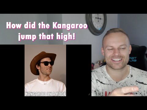 Rob Reacts to... Meanwhile in Australia *PART 41* 😂