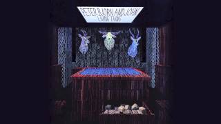 Peter Bjorn and John - Nothing To Worry About