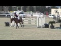 Unique III Oliva Nova Gold Tour 1 35 Jump Off 24 10 2015