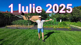 PARADISUL MEU - 1 IULIE 2025 - GAZONUL, GRĂDINA DE LEGUME, POMII FRUCTIFERI ȘI ARBUȘTII FRUCTIFERI