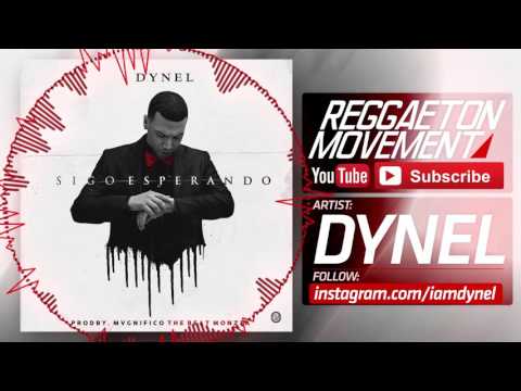 Dynel - Sigo Esperando