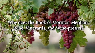 Why does the Book of Mormon Mention Wine Vineyards and Wine presses?