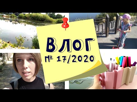 Влог: отпуск в городе, самодельная когтеточка и новый проект