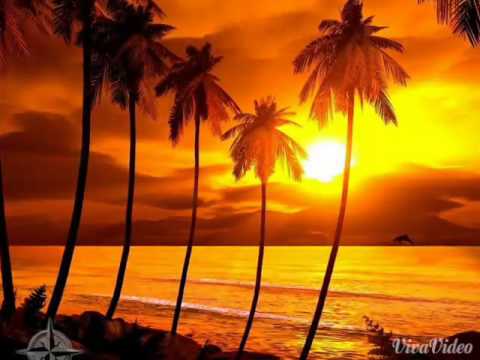 Brisa Sul - Pensamento Longe