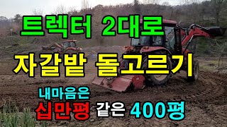 자갈밭 트렉터 돌수집기로 돌고르기 / 생강밭 돌고르기 했어요