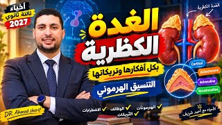 ابسط شرح للهرمونات افهم الغدة الكظرية وهرمونات القشرة والنخاع احياء تالتة ث?