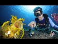 Hunt For The CRAZIEST Looking Creature In The Ocean Holy Grail Of Diving