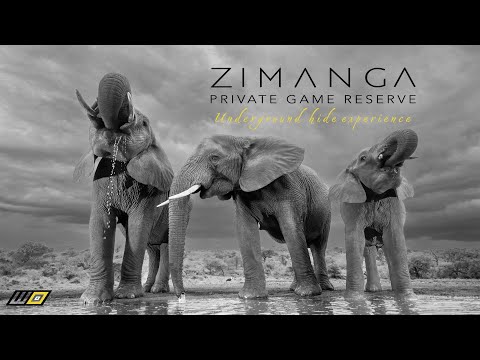 ZIMANGA Underground Hide Experience | November 2022