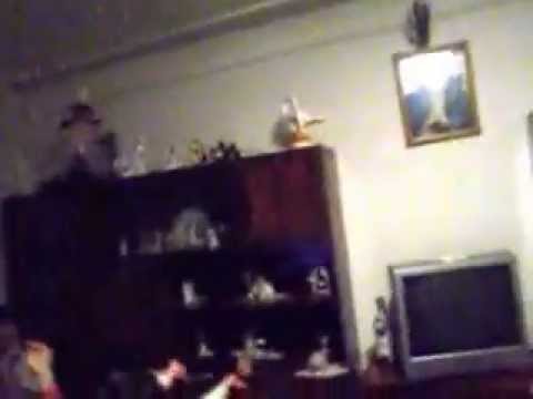 Ana Tofan si Ariana dansand!