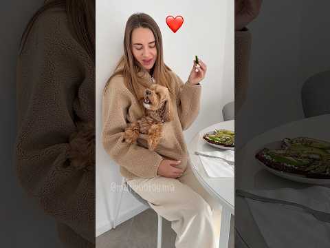 E da voi com’è? #maltipoo #dog