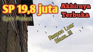 Download lagu Suara walet sp 19,8 juta open protect gratis download mp3