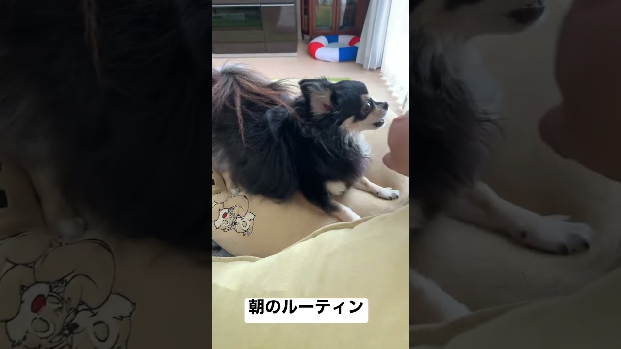 朝のルーティン