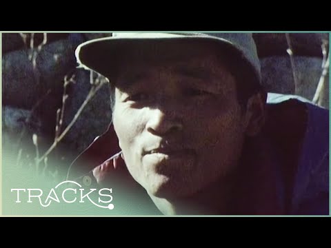 Sherpas of Nepal: The First People to Climb The Everest | Disappearing World | TRACKS