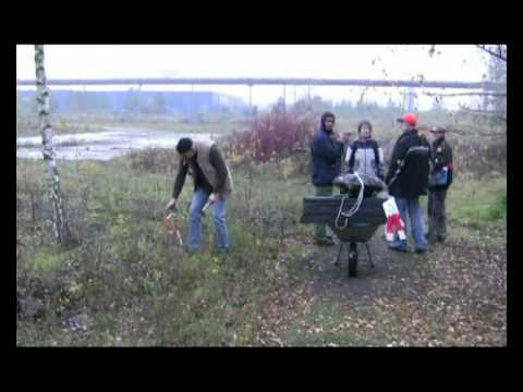 Bogensport Turnier Zebras Wilde 13.01.11.2009