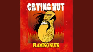 Music video thumbnail preview for 새신발 (새신발) by Crying Nut