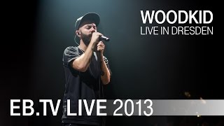 Woodkid live in Dresden (2013)